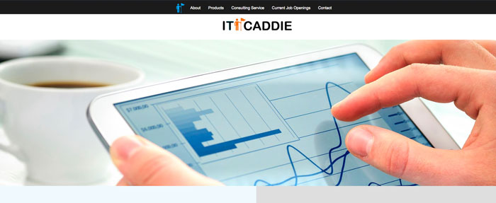 IT Caddy Website